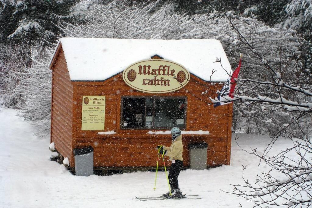 Skiing, Hiking, Village Of Eville Mtn Escape Ellicottville Εξωτερικό φωτογραφία